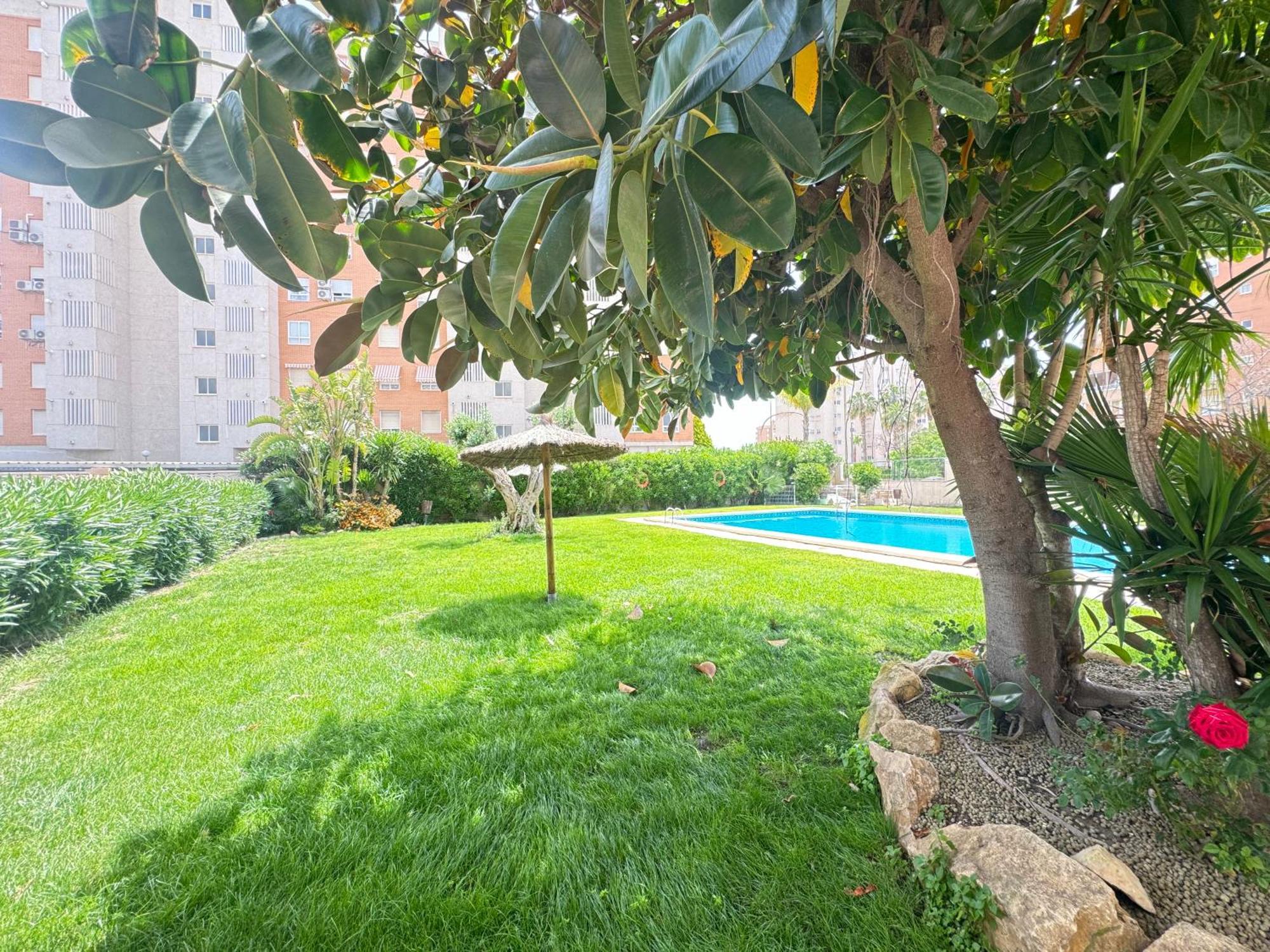 Estudio Con Piscina Аліканте Екстер'єр фото